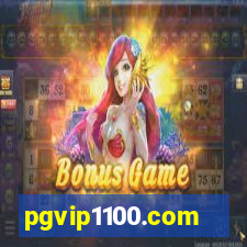 pgvip1100.com