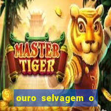 ouro selvagem o que aconteceu na vida