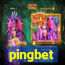 pingbet