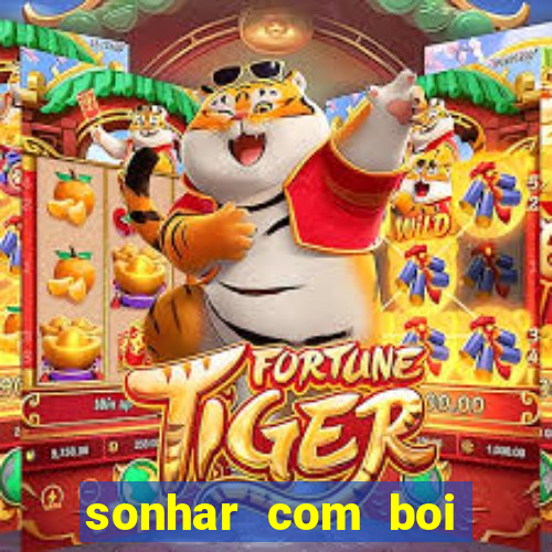 sonhar com boi jogo do bicho